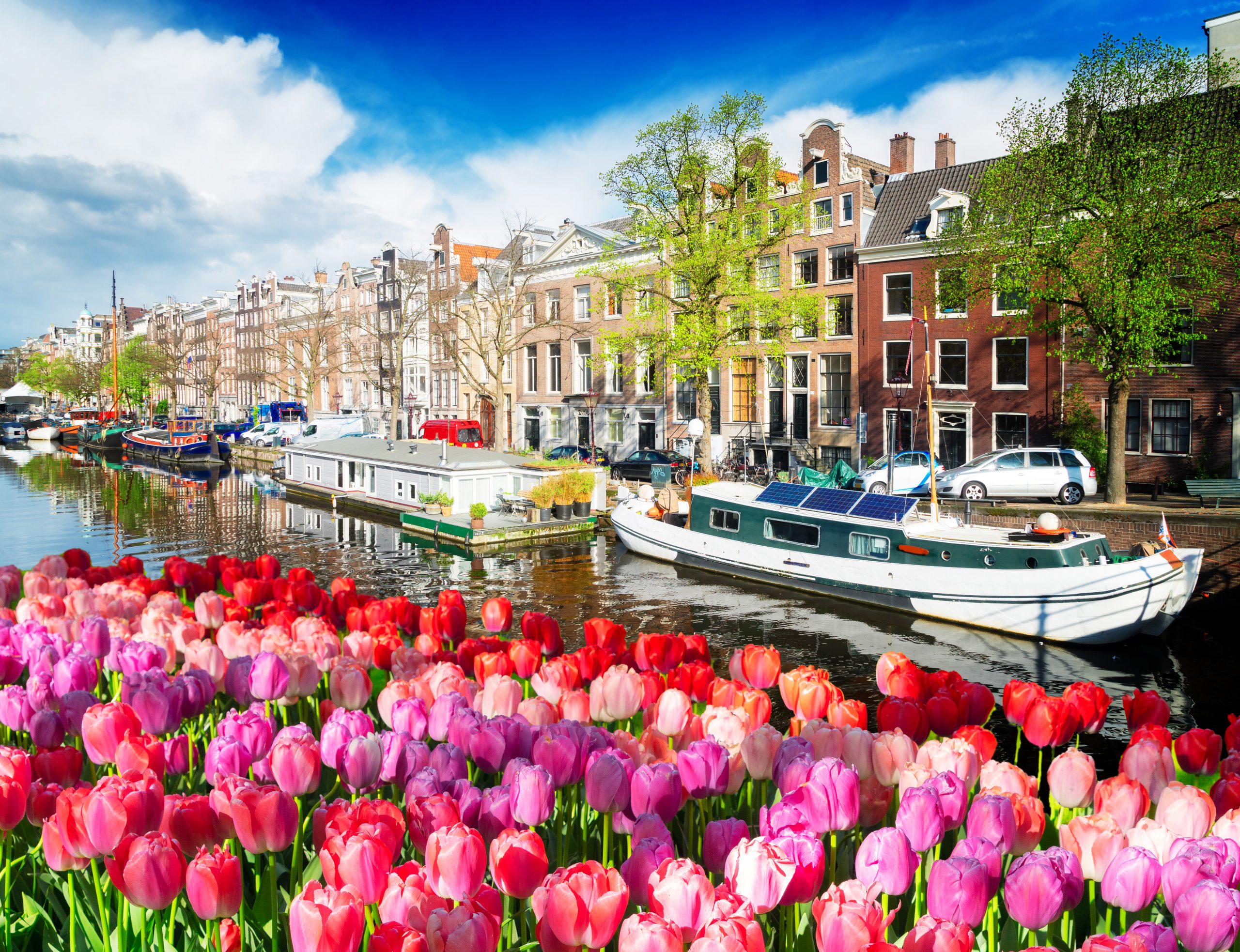 Cruising along historical Amsterdam - Sea Traveller